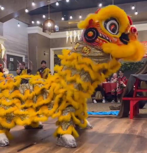 lion picture E Yellow/Gold + Black